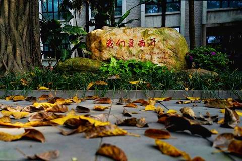 图片1.jpg